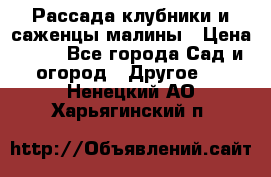 Рассада клубники и саженцы малины › Цена ­ 10 - Все города Сад и огород » Другое   . Ненецкий АО,Харьягинский п.